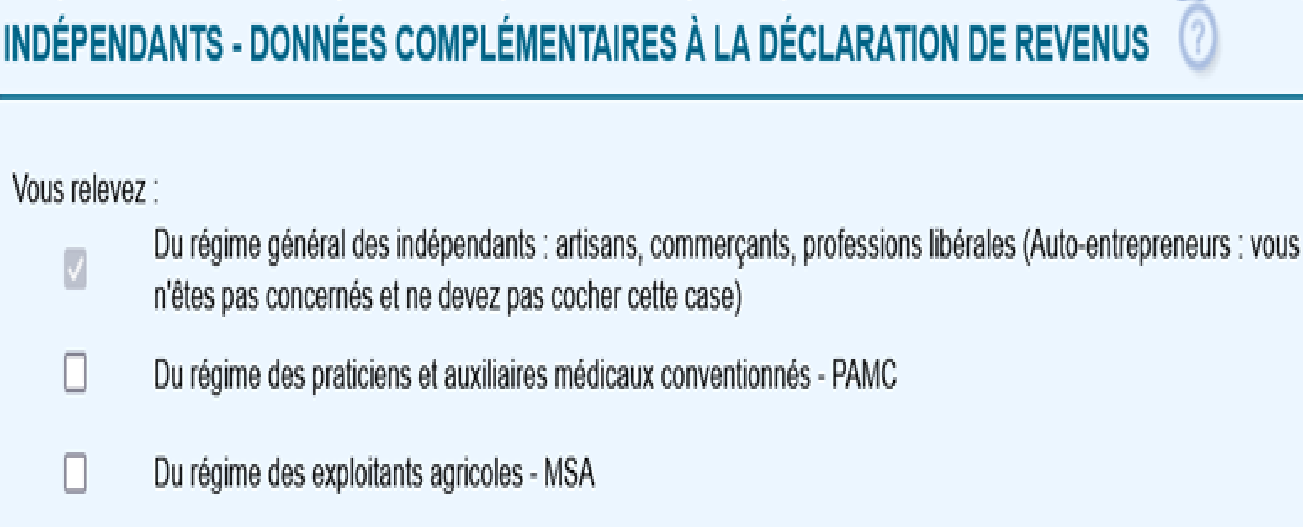Extrait de la d&eacute;claration 2042 C PRO : rubrique &laquo; Ind&eacute;pendants &ndash; donn&eacute;es compl&eacute;mentaires &agrave; la d&eacute;claration de revenus &raquo;